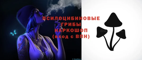 стаф Осинники