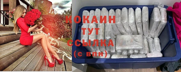 стаф Осинники