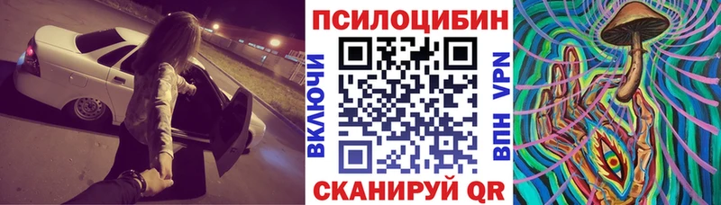 Галлюциногенные грибы мицелий Сосновый Бор
