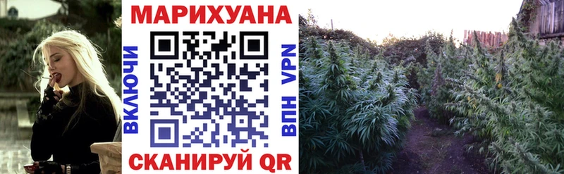 Шишки марихуана семена  Сосновый Бор 
